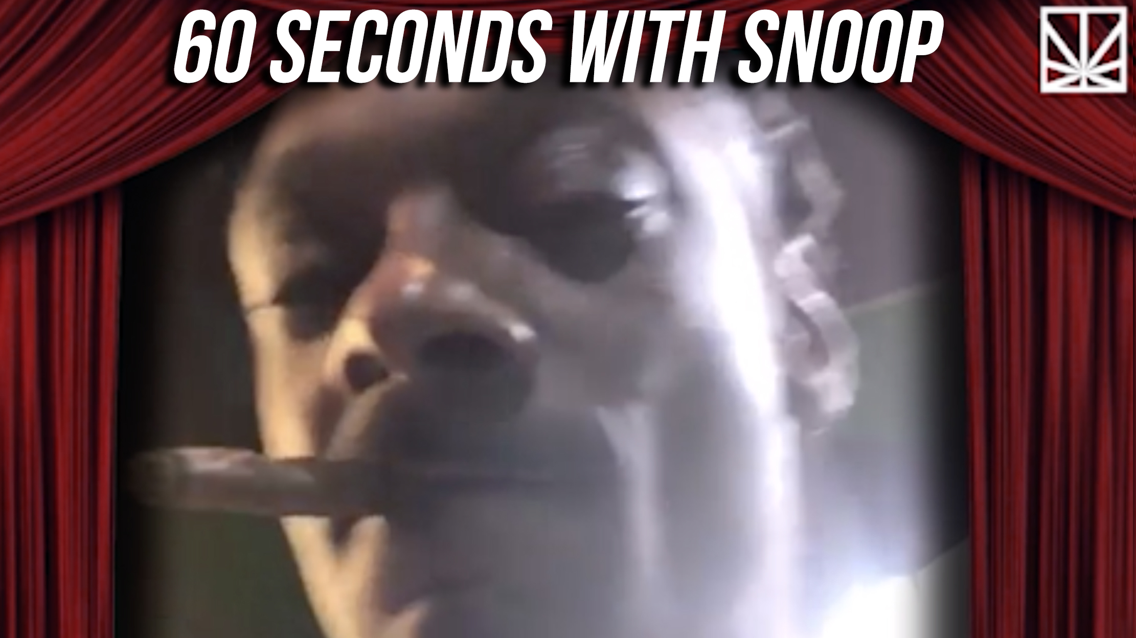 What has Uncle Snoop Been Up To? Catch Up with 60 Seconds with Snoop