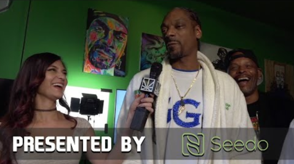 Snoop Dogg Plays Madden 20 | HIGHLIGHTS | GANGSTA GAMING LEAGUE VIII presented by Seedo