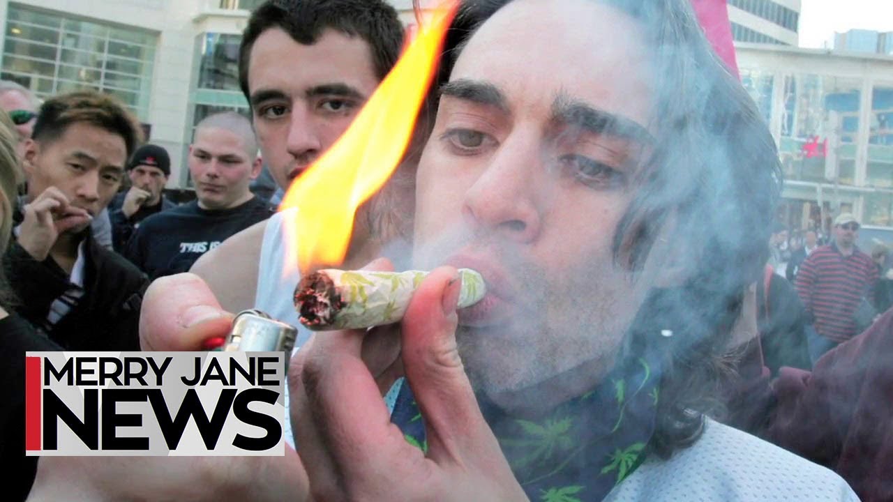 School’s in Session: The Types of Stoners You Meet in College