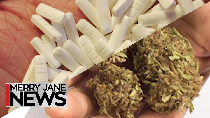 Pot Over Pills: The Effects of Cannabis vs. Prescription Drugs