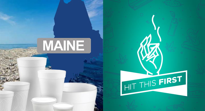 HIT THIS FIRST! Good on Maine for Banning Styrofoam…Bad on Billionaires for Fixing Notre Dame