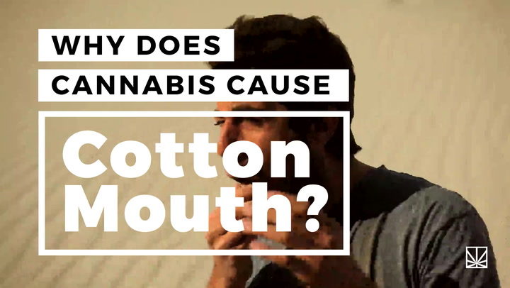 Why Does Weed Cause Cotton Mouth