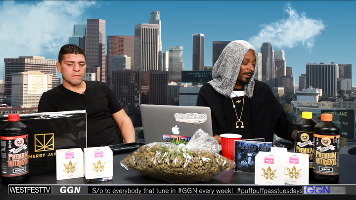 GGN News with Nick Diaz | PREVIEW